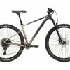 VTT Semi-Rigide Cannondale Trail SE 1 Sram NX/SX Eagle 12V 29'' Gris Meteor