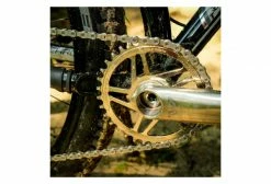 Wolf-tooth Plateau Wolf Tooth Direct Mount Cane Creek/Sram Boost 3 Mm Drop-Stop ST Pour Shimano HyperGlide+ 12 Vitesses Nickel -Vélos Soldes Boutique 208790460c877452be829.34803816